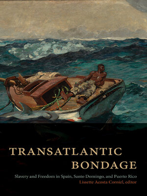 cover image of Transatlantic Bondage